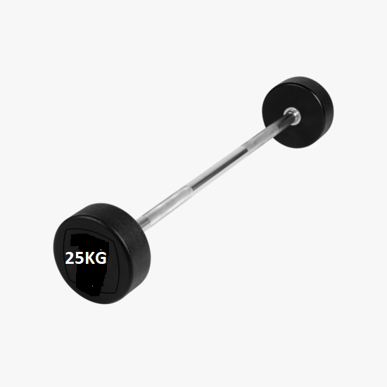 BS-25 Straight Barbell Weight 25kg (FFT Brand)